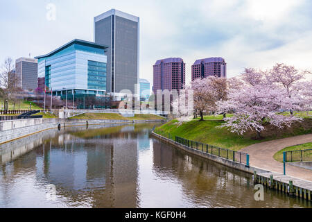 Richmond, Virginia, die Skyline der Stadt am Morgen entlang des James River in der Nähe von Brown's Island und der Tredegar St während der Kirschblüten. Stockfoto