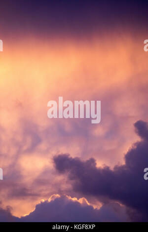 Cheshire, 7. November 2017. Letzte der Regen Wolken verschwinden an diesem Abend, als die Sonne über ländlichen Cheshire, in der Nähe Dorf Little Budworth mit einem spektakulären rosa Leuchten in den Himmel. © DGDImages/Alamy leben Nachrichten Stockfoto