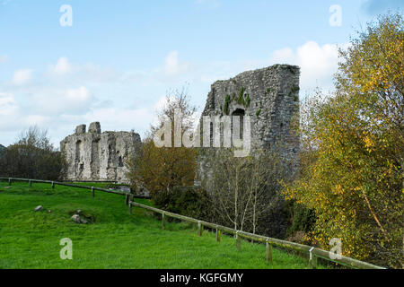 Trim Castle in der Grafschaft Meath in der Nähe von Dublin, Republik Irland, Ort für den Film Braveheart mit Mel Gibson Stockfoto