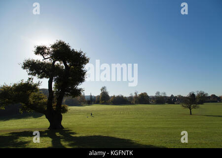 Lloyd Park in Croydon an einem Herbstmorgen Stockfoto