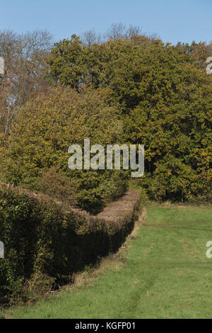 Lloyd Park in Croydon an einem Herbstmorgen Stockfoto