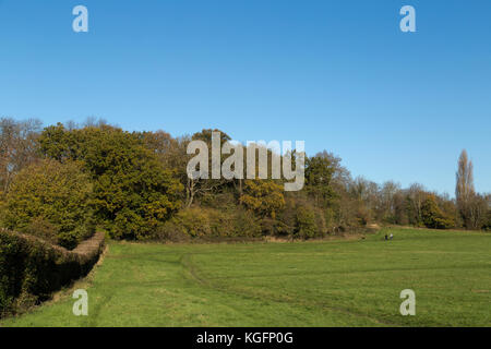 Lloyd Park in Croydon an einem Herbstmorgen Stockfoto