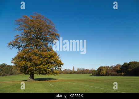 Lloyd Park in Croydon an einem Herbstmorgen Stockfoto