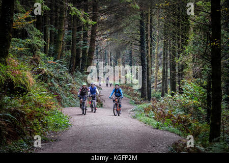 Mountainbiker reiten entlang einer Spur im Cardinham Holz in Cornwall. Stockfoto