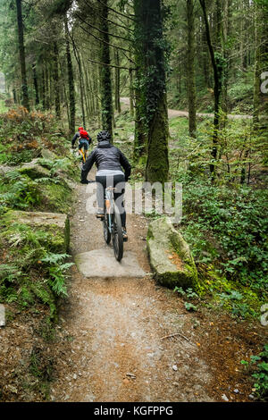 Mountainbiker reiten entlang einer Spur im Cardinham Holz in Cornwall. Stockfoto