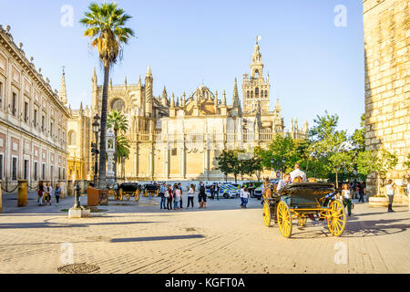 Kathedrale der Heiligen Maria des Siehe mit Pferd, Kutsche, Sevilla, Spanien Stockfoto