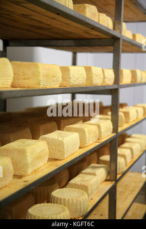 Blick auf einer heranreifenden Lagerhaus der Käse Stockfoto