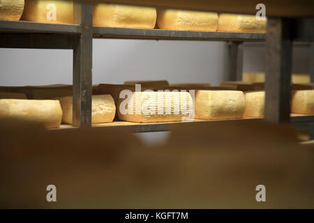 Blick auf einer heranreifenden Lagerhaus der Käse Stockfoto