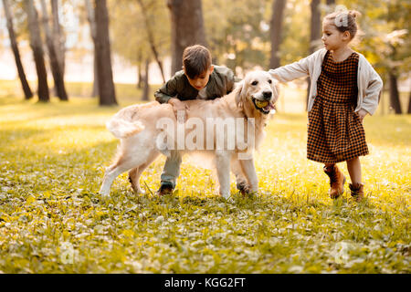 Kinder Streichelzoo Hund Stockfoto