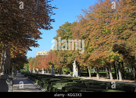 Bäume im Herbst Farbe, Paseo de la Argentinien, El Retiro Park, Madrid, Spanien Stockfoto