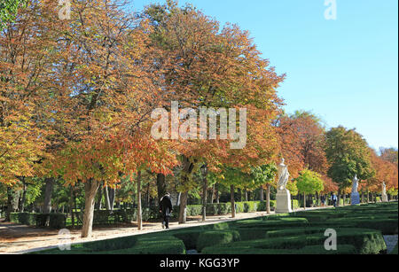 Bäume im Herbst Farbe, Paseo de la Argentinien, El Retiro Park, Madrid, Spanien Stockfoto