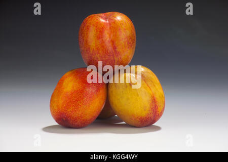 EXPLOSIVE GESCHMACK PLUOTS IM STUDIO Stockfoto