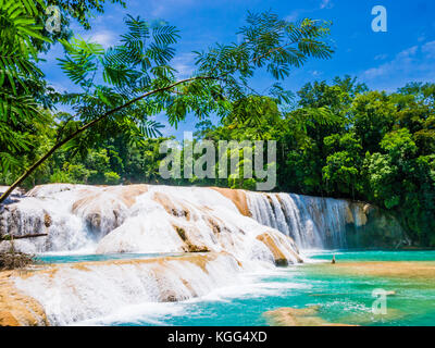 Agua Azul Wasserfälle im Regenwald von Chiapas, Mexiko Stockfoto