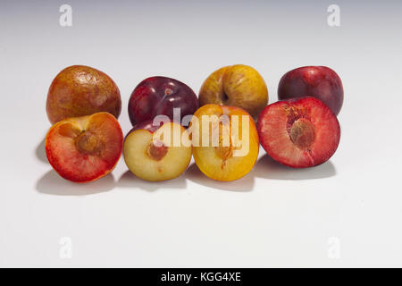 Halbe und ganze PLUOTS UND PFLAUMEN IM STUDIO, um DINOSAURIER EI PLUOT, Pflaume, EXPLOSIVE GESCHMACK PLUOT UND ROTE PFLAUMEN Stockfoto