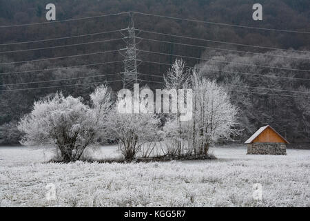 Bäume im Raureif in der Nähe von tolmin in primorska, Slowenien. Stockfoto