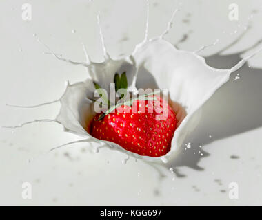 Erdbeeren und Milch Spritzen Stockfoto