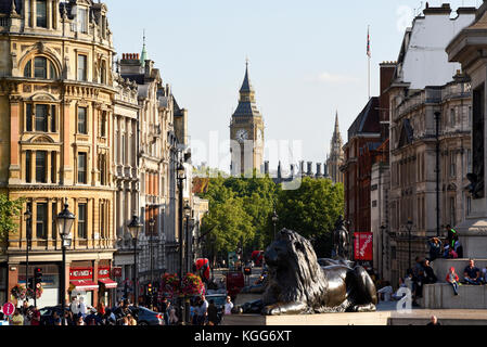 Blick hinunter Whitehall vom Trafalgar Square zu den Häusern des Parlaments, von einer bronzenen Löwen von Nelson's Column auf Elizabeth Tower Big Ben. Busse. Menschen Stockfoto