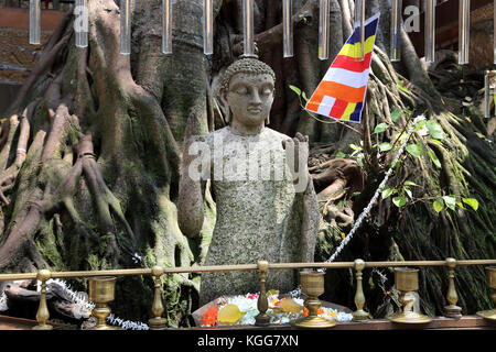 Gangaramaya Tempel Colombo Sri Lanka Statue von Buddha mit der rechten Hand im Abhaya mudra von Bo Baum Stockfoto