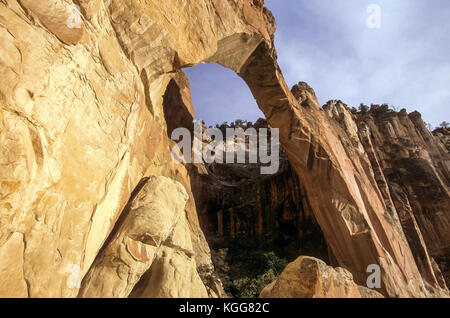 La Ventana Arch, Cebolla Wilderness Area, El Malpais National Conservation Area, Zuschüsse, New Mexiko USA Stockfoto