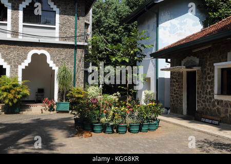 Basilika unserer lieben Frau von Lanka Tewatte Ragama Sri lanka Stockfoto