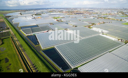 Antenne der Gewächshäuser/Gewächshäuser im Westland Gebiet in den Niederlanden Stockfoto