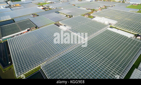 Antenne der Gewächshäuser/Gewächshäuser im Westland Gebiet in den Niederlanden Stockfoto