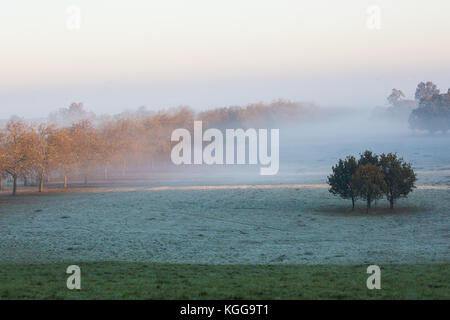 Windsor, Großbritannien. 6. november 2017. Ein Blick auf Windsor Castle bei Sonnenaufgang an einem nebligen und frostigen Morgen im Windsor Great Park. Stockfoto