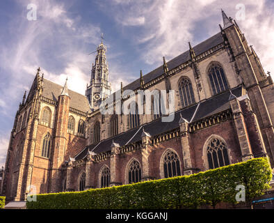 Der Grote Kerk (st.-bavokerk), Protestantische Kirche (ehemalige katholische Kathedrale), dem zentralen Marktplatz, Haarlem, Niederlande Stockfoto