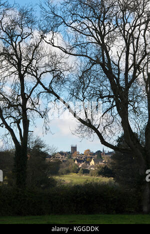 Stow on the Wold im Oktober, umrahmt von Silhouettenbäumen. Stow on the Wold, Cotswolds, Gloucestershire, England. Silhouette Stockfoto