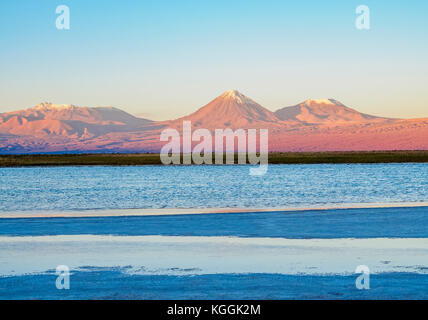 Blick auf die Laguna Baltinache Richtung Vulkan Licancabur bei Sonnenuntergang, Salar de Atacama, Antofagasta Region, Chile Stockfoto