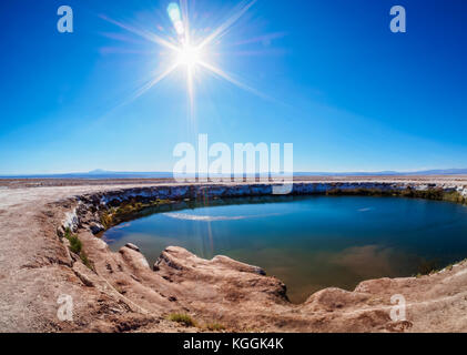 Ojos del Salar Lagune, Salar de Atacama in der Nähe von San Pedro de Atacama Antofagasta Region, Chile Stockfoto