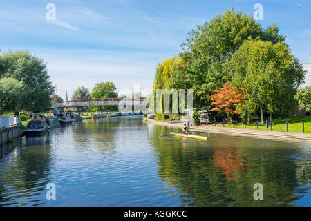 Männlicher Student rudert auf einem einzigen Schädel am Fluss Cam bei Midsummer Common, Cambridge, England, Großbritannien Stockfoto