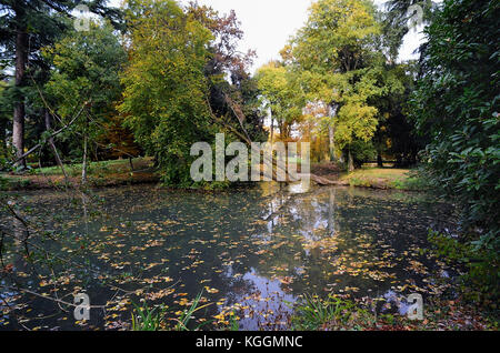 Castelfranco Veneto, Italien. Der Garten der Villa Revedin Bolasco im Herbst. Der kleine See. Stockfoto