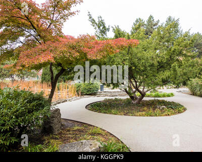 Japanischer Garten auf der Margareteninsel, Budapest Stockfoto