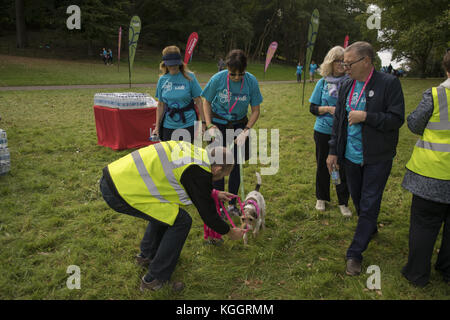 Fernsehstar Ruth Langsford und ihr Hund Maggie beginnen den Alzheimer’s Society Surrey Memory Walk im Painshill Park, Cobham. Die Strictly Come Dancing 2017, Loose Women und ITV This Morning Moderatorin, die ihren Vater Dennis an Demenz verloren hat und Botschafter der Alzheimer’s Society ist. Ruth wurde von EastEnders-Star Emma Barton und ihrem Hund Poppy begleitet. Mit: Emma Barton Where: Cobham, Großbritannien Wann: 08 Okt 2017 Credit: Paul Taylor/WENN.com Stockfoto