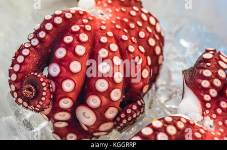 Red live Octopus in Tsukiji Fischmarkt, Tokio, Japan Stockfoto