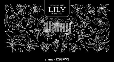 Eingestellt von isolierten Lily 27 Stile. cute Hand gezeichnet Blume Vector Illustration nur weißer Umriss auf schwarzem Hintergrund. Stock Vektor