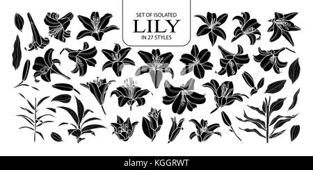 Eingestellt von isolierten silhouette Lily 27 Stile. cute Hand gezeichnet Blume Vector Illustration in weißer Umriss und schwarzen Flugzeug auf schwarzem Hintergrund. Stock Vektor