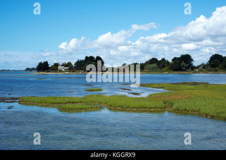 Ile Tascon (Tascon Insel) eine Gezeiten- Insel in den Golfe du Morbihan in der Nähe von Vannes Bretagne Frankreich. Stockfoto