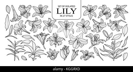 Eingestellt von isolierten Lily 27 Stile. cute Hand gezeichnet Blume Vector Illustration in schwarzer Umriss und weißen Ebene auf weißem Hintergrund. Stock Vektor