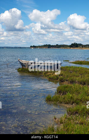 Ile Tascon (Tascon Insel) eine Gezeiten- Insel in den Golfe du Morbihan in der Nähe von Vannes Bretagne Frankreich. Stockfoto