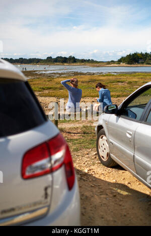 Ile Tascon (Tascon Insel) eine Gezeiten- Insel in den Golfe du Morbihan in der Nähe von Vannes Bretagne Frankreich. Stockfoto