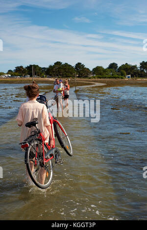 Ile Tascon (Tascon Insel) eine Gezeiten- Insel in den Golfe du Morbihan in der Nähe von Vannes Bretagne Frankreich. Stockfoto