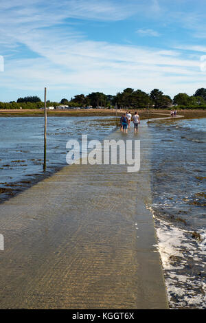 Über den Gezeitenweg zur Ile Tascon (Insel Tascon), einer Gezeiteninsel im Golfe du Morbihan in der Nähe von Vannes Bretagne Frankreich. Stockfoto