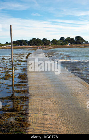 Ile Tascon (Tascon Insel) eine Gezeiten- Insel in den Golfe du Morbihan in der Nähe von Vannes Bretagne Frankreich. Stockfoto