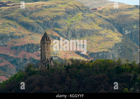 National Wallace Monument in der Nähe von Stirling Castle in Schottland Stockfoto