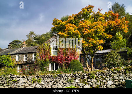 Herbstfarben im Dorf Hartsop, Patterdale, Lake District, Cumbria GROSSBRITANNIEN Stockfoto