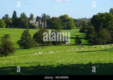 Ein Blick über den Park bis Elton Hall, Cambridgeshire Stockfoto