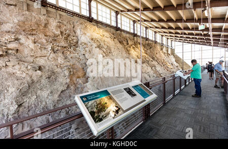 Besucher & Dinosaurier Fossilien im Steinbruch - Dinosaur National Monument, UT Stockfoto