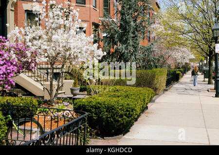 Frühling in Back Bay, Boston. eleganten Gärten, breite Bürgersteige, backsteingebäuden und Ziegelstein Wohnhäuser, viktorianische Architektur. Stockfoto